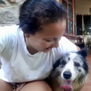 Mimi's Pet Services